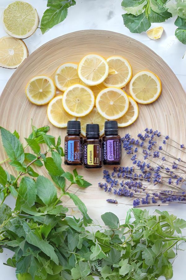 doTERRA Beginner's Trio Kit